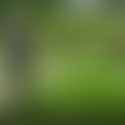 ALL IN A DAY’S WORK