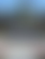 Mitchell County, Bakersville, North Carolina Charters of Freedom - NEWS