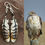 Thumbnail: Ferruginous Hawk Secondary Bone Feather Jewelry