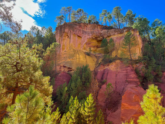 PENNY A PARRISH IN FRANCE TOO!