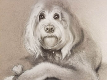 Carol Haynes_Chewy (close up)_commission.jpg