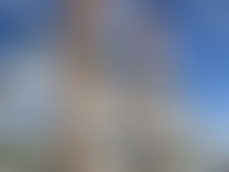 The Roy Chimneys, Port Royal, Virginia