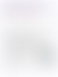 America 250 Italian Style