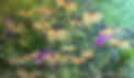 il_1588xN_edited.jpg