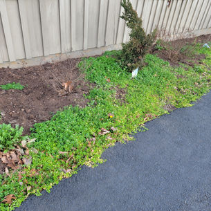 Mulch Madness from American Green