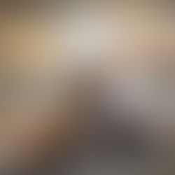 ART EXHIBIT AT FRAME DESIGNS & GALLERY