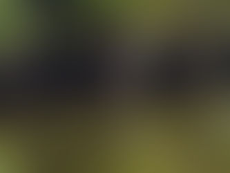 5 Nature-Loving Sites in Colonial Beach, VA (CBVA) and Virginia’s Northern Neck