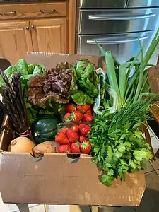 News from Pleitez Produce Farm