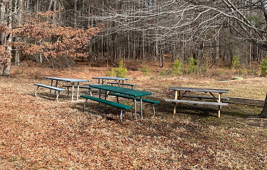 Picnic Tables