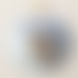 2264 - Give a Hoot from the Thomas Glenn High Design Collection