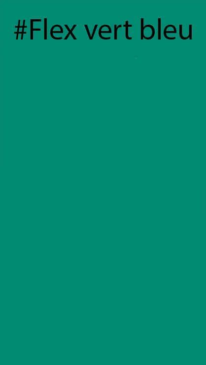 Miniature : Couleur du Transfert
