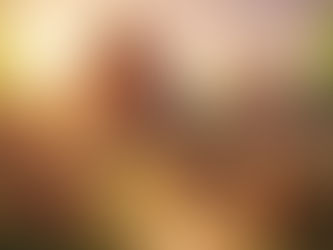 The Lost Capital: A Journey Through New Delhi's Fabled Historical Grandeur