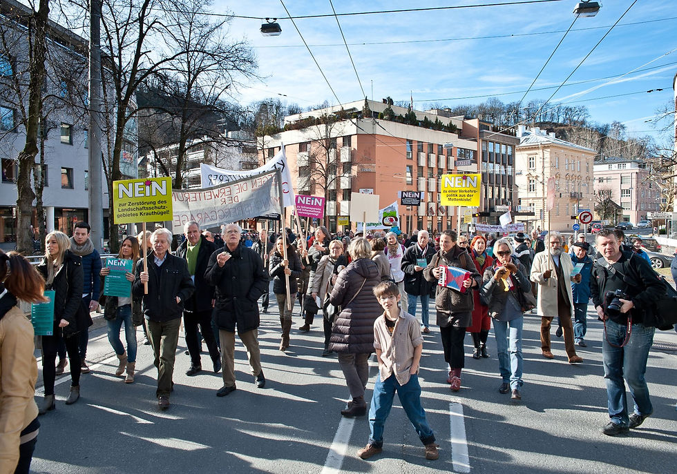 strategieberatung für ngo's