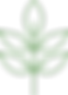 plantefeuille_COTONVERT.png