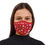 Miniaturbild: Mana Mask Polka Flakes