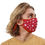 Miniaturbild: Mana Mask Polka Flakes