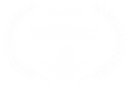 Audience Choice w.png