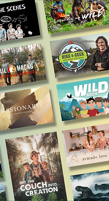 wbtv ad 2.png