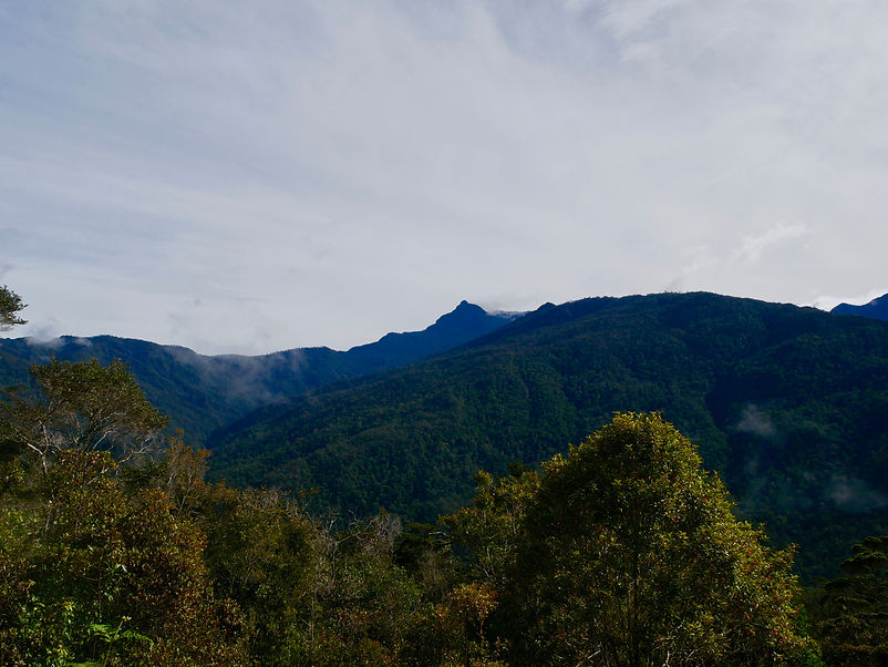 P1210915.JPEG
