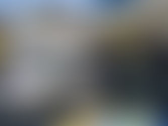 Guarda Municipal começa a operar na Patrulha Maria da Penha em Natal