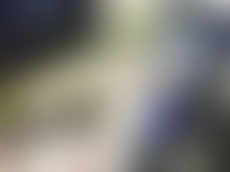 Homem tem moto roubada e pede ajuda a Guarda Municipal que a recupera imediatamente