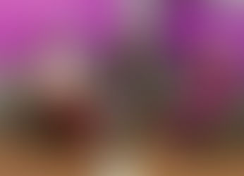 O Papel do Legislativo é o primeiro tema debatido no programa Agosto Lilás Segurança