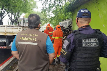 Operação da GMN e Semurb apreende carga de madeira destinada a fogueiras juninas