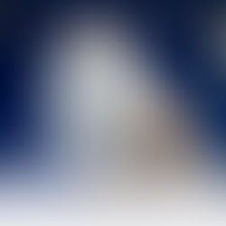 Beautiful fluffy Ragdoll cat on a blue background - Ragdoll cat emotional needs and care.