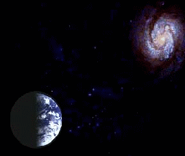 ree