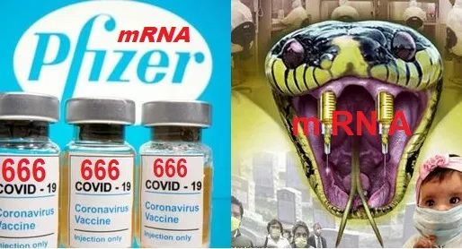 Os documentos da PFIZER admitem que suas ‘Vacinas’ mRNA espalharão partículas infecciosas em pessoas