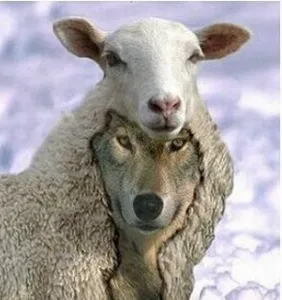 ree