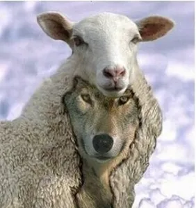 ree