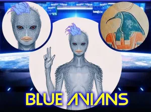 ree