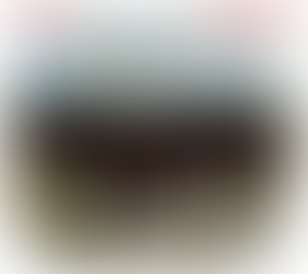 Se os EUA cair o ocidente cai junto e teremos uma Nova Ordem Mundial comandada pela China