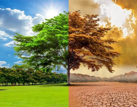 ree