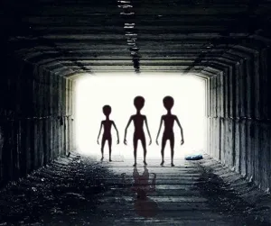 ree