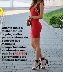 A Vampirização pelo Sexo, manipulação de hospedeiras (os)
