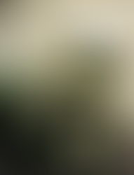 Coronavírus: A crise que definirá nossa geração, o momento é de uma ‘Catarse’