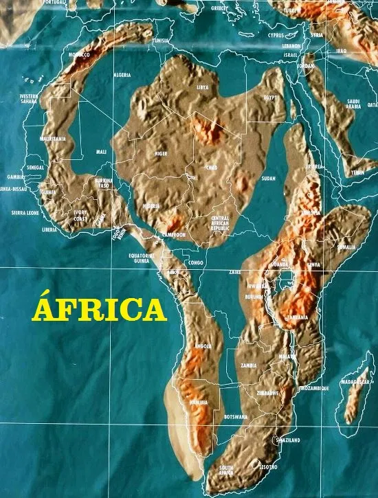 ree