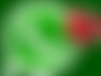 ¡Ahora tu programa inmobiliario está conectado a tu cuenta de WhatsApp Web!