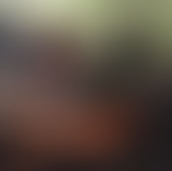 La carne: invitada infaltable en Fiestas Patrias