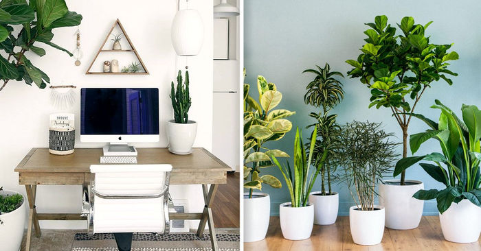 Cómo y por qué usar el feng shui en los espacios de trabajo para tener éxito