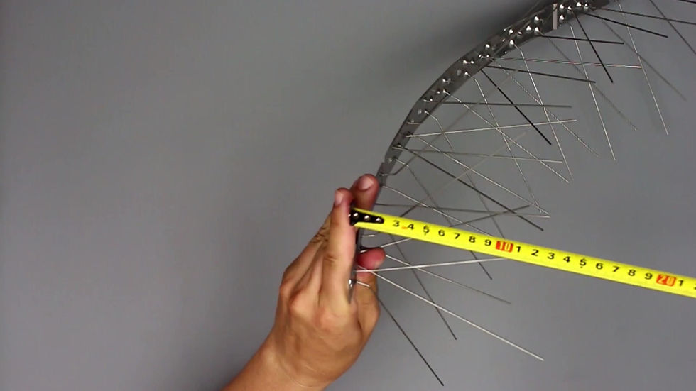 Miniatură: Ţepi împotriva pasărilor STXL225