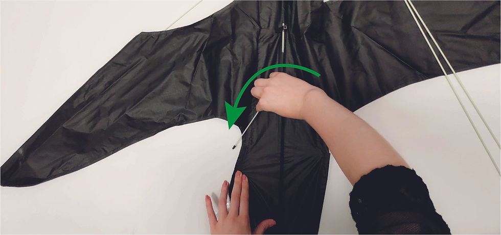 Miniatura: Aquilone spaventapasseri 6 metri