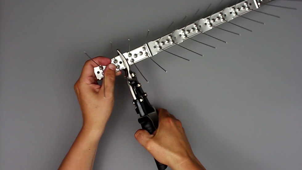 Miniatură: Țepi împotriva pasărilor STS50