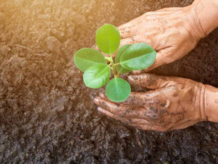 ILSADRIP | Nutrición y Tecnología, la Combinación Perfecta para la Agricultura.