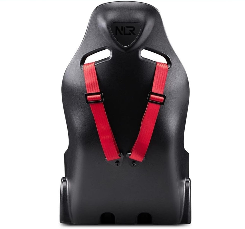 Next Level RacingASIENTO