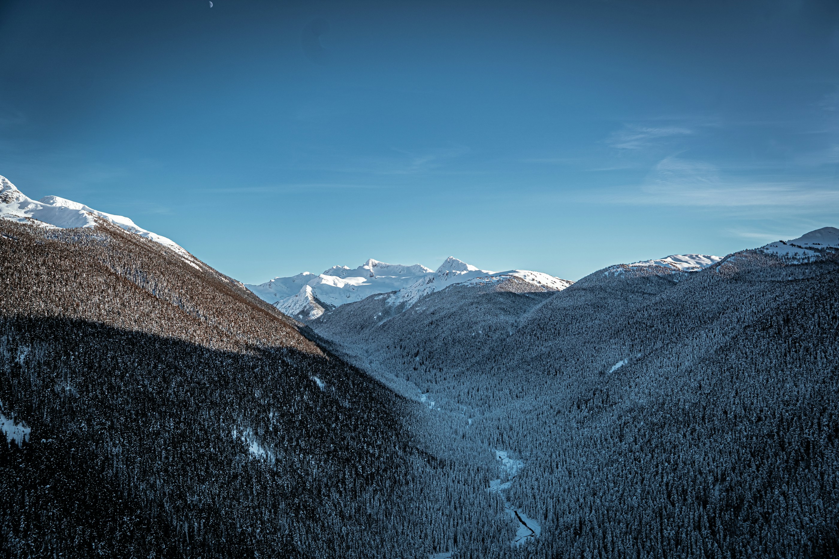 Whistler 雪山与森林