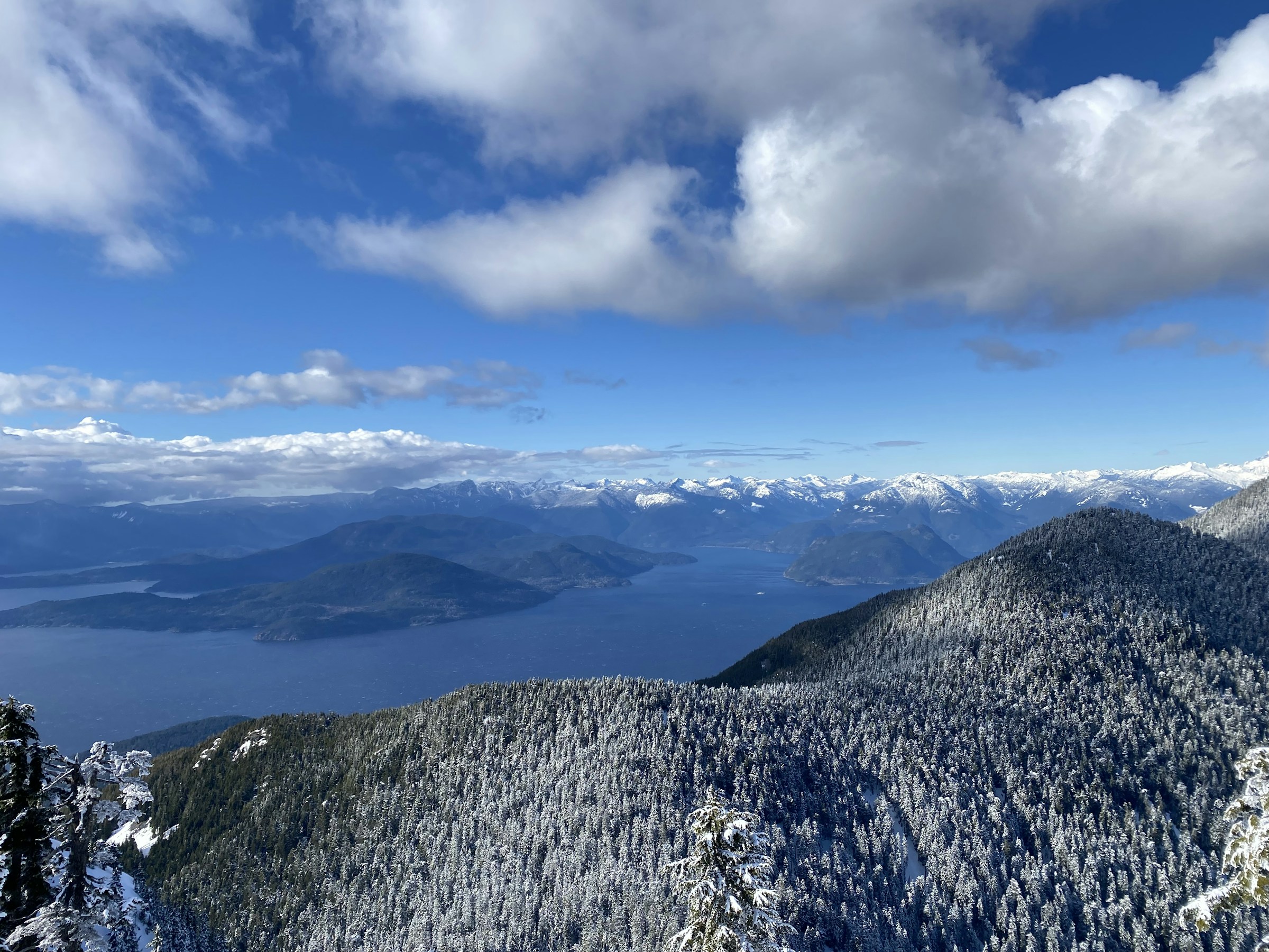 Cypress Mountain 雪林与海湾