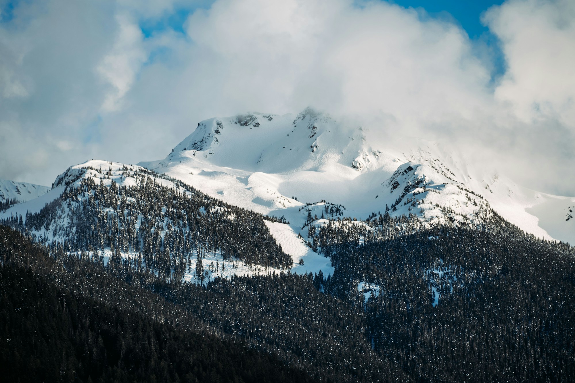 Whistler 山峰与针叶林